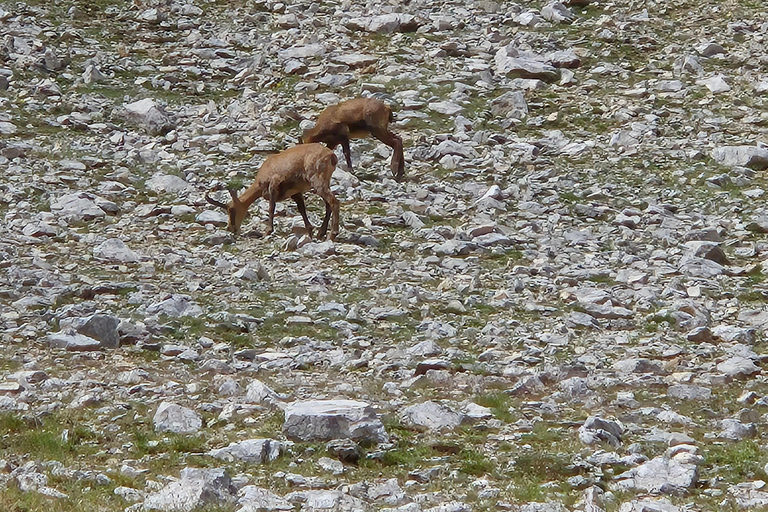 Koncheto Ridge Hike – Full-Day Guided Tour from Sofia