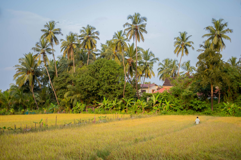 Saligao: Village Saunter genom Saligao