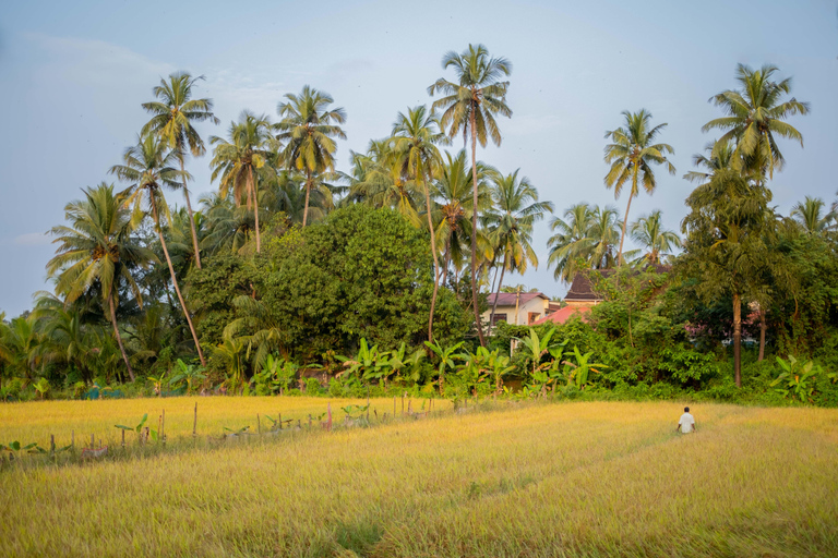 Saligao: Paseo por el pueblo de Saligao