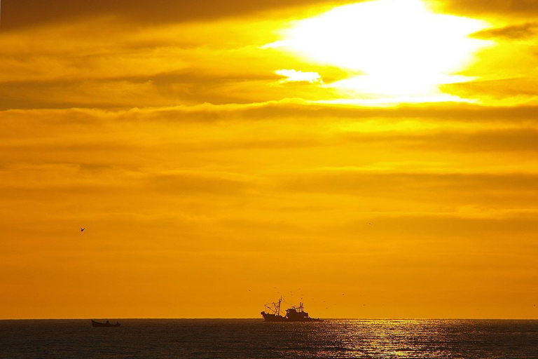 Agadir/Taghazout: Canyon, Sand Dunes & Sandboarding with BBQ