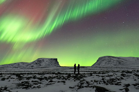 Abisko: Northern Lights Chase with Photos and Hot Drinks