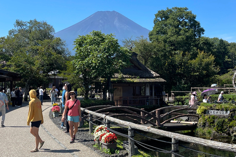 Vanuit Tokio: Privétour naar de berg Fuji met Engelse gidsTokio: Privétour naar de berg Fuji, helemaal naar jouw wensen