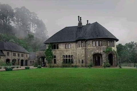 Ella : visite du Lipton&#039;s Seat, d&#039;une fabrique de thé et du bungalow d&#039;AdishamElla : siège de Lipton, usine de thé et bungalow Adisham