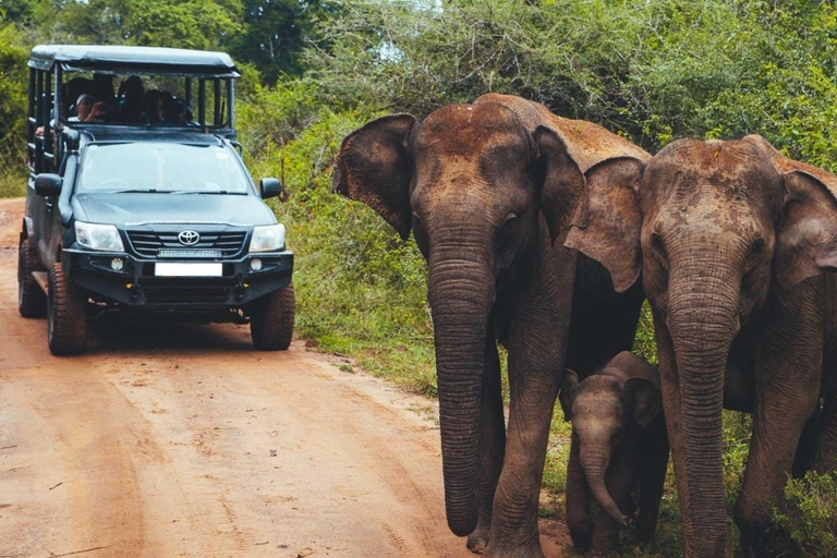 From Ella: Shuttle to Tangalle/Hiriketiya w Udawalawa Safari