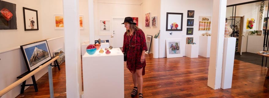 Nelson : circuit œnologique et artistique avec dégustations et déjeuner