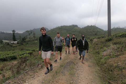 Kandy: Wasserfälle und einheimische Dörfer Tagestour mit Mittagessen