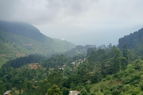 Kandy: Nuwara-Eliya Trip with Driver-Guide & Scenic Stops