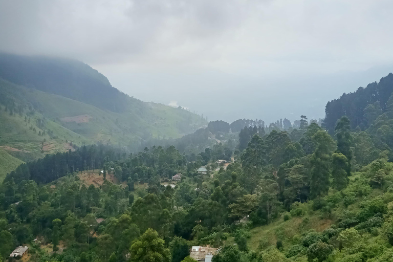 Kandy: Nuwara-Eliya Trip with Driver-Guide & Scenic Stops