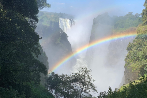 Victoria Falls: Guided Tour with Transportation