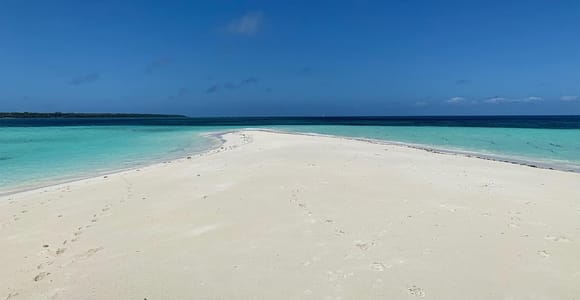 SAFARI BLUE ZANZIBAR SANDBANK AND SNORKELING TOUR