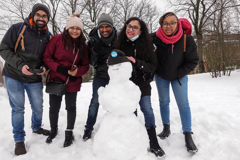 Helsinki : Visite à pied en petit groupe avec un guide local