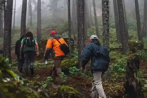 Durango: Parque La Piramide Vogelbeobachtung und Wanderung