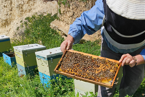 Heraklion: Private Beekeeping Experience with Honey Tasting
