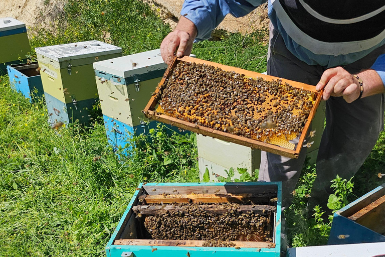 Heraklion: Private Beekeeping Experience with Honey Tasting