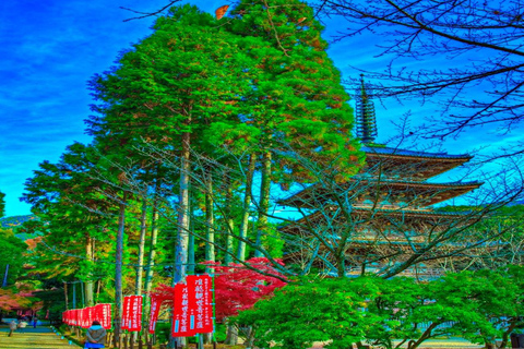 From Osaka: Hiroshima & Miyajima Island Private Guided Tour