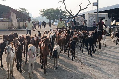 Bombay: Visita guiada al Matadero de Deonar