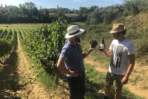 Florence : Visite de la campagne avec dégustation de vins et cours de pâtes