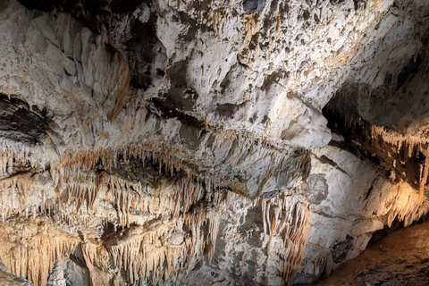 from Zakopane: Orava Castle & Demanovská Cave Day Trip