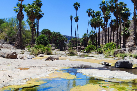 Loreto : circuit de 3 jours en UTV de la mer de Cortez au Pacifique
