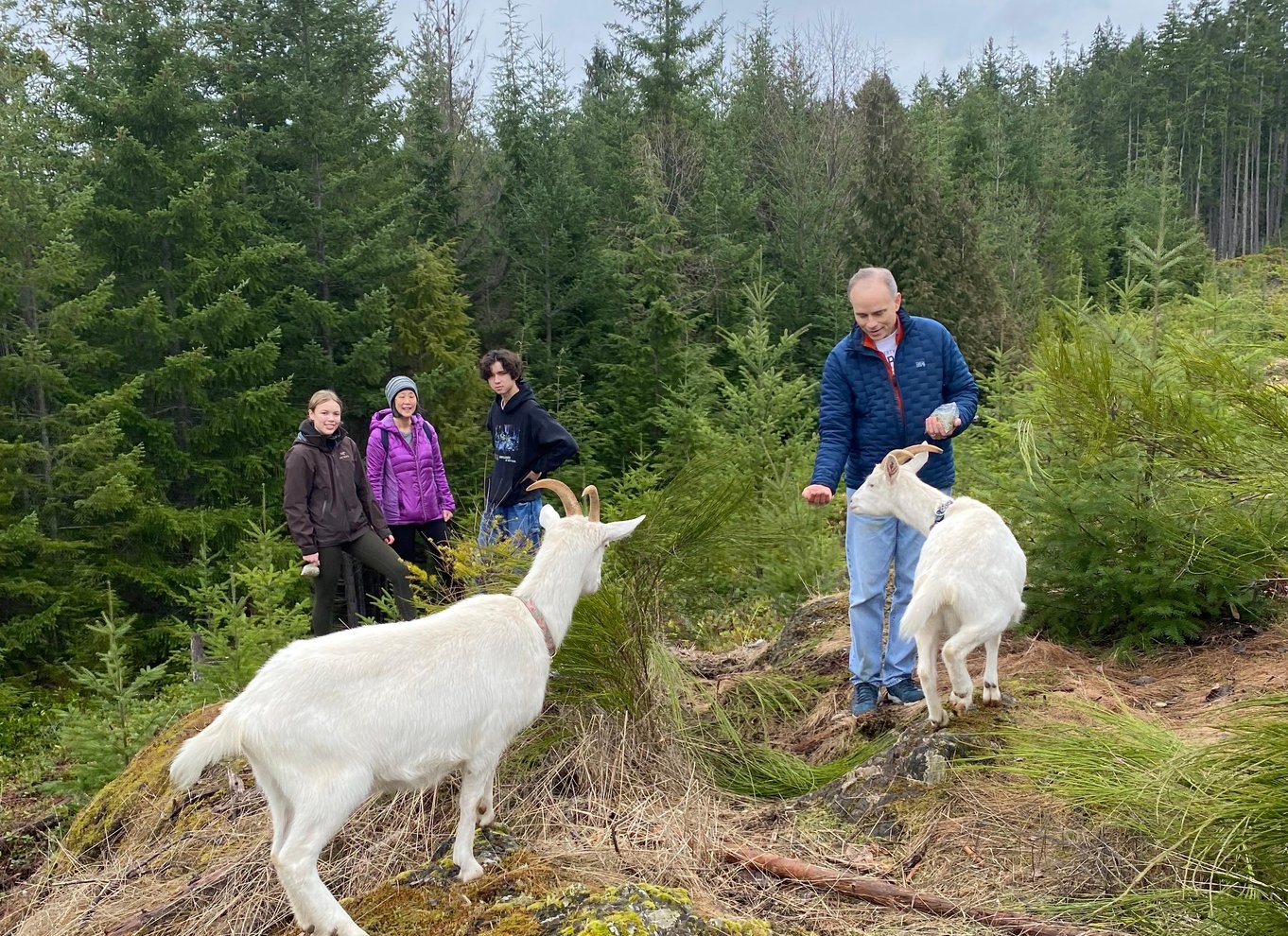 Gede-vandretur på Maple Heart Ranch