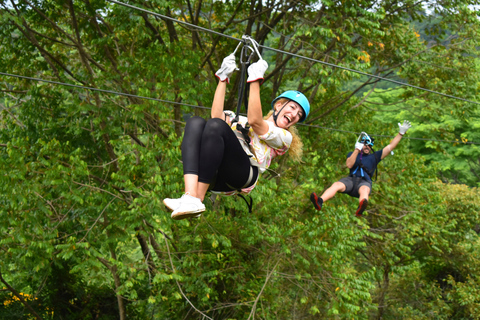 Manuel Antonio: Wycieczka Canopy Tour z liniami Zip i wiszącymi mostami