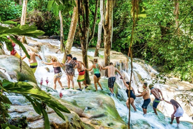 Montego Bay: Horseback Riding Dunn’s River Fall and Shopping