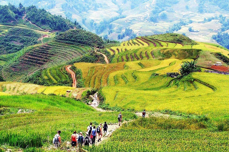 Depuis Hanoi : 3 jours de visite de Sapa, Fansipan, Ninh Binh avec repasCircuit standard : 3 jours à Sapa, Fansipan et Ninh Binh