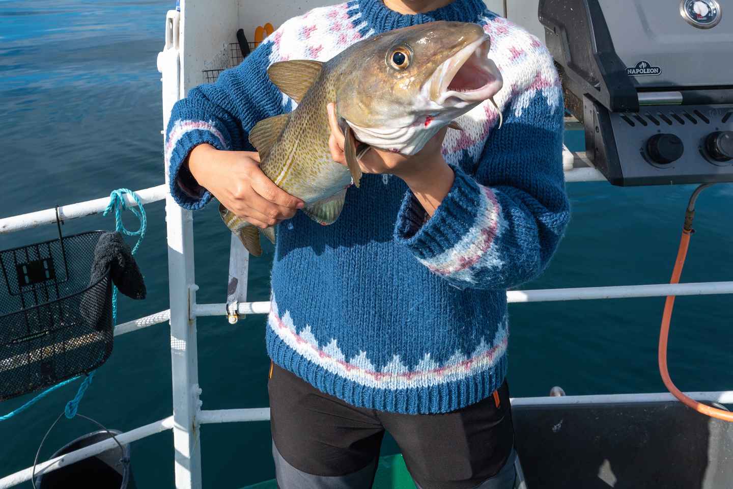 La Mejor Captura de Reikiavik: Tour Guiado de Pesca en el Mar