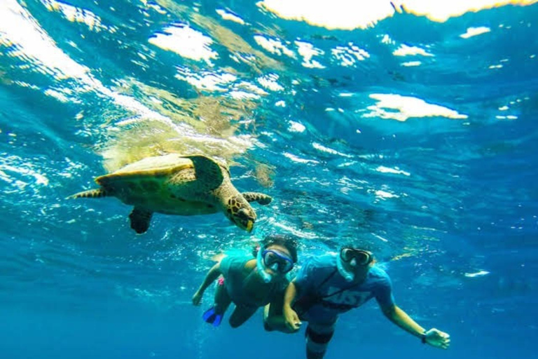 Jeddah: Bayada Boat & Snorkeling Adventure