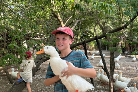 Hoi An: Duck Farm Experience with Local Family & Duck Leader