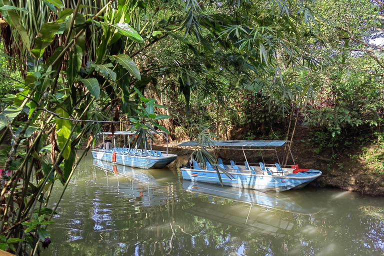 مانويل أنطونيو: جولة بالقارب بين أشجار المانغروف لمشاهدة الحيوانات