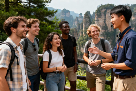 张家界：国家森林公园和大雁夜市之旅
