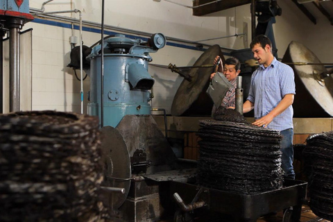 Sóller: Olijfolie proeverij en brunch bij Can Det Estate