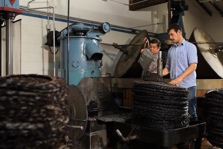 Sóller: Olijfolie proeverij en brunch bij Can Det Estate