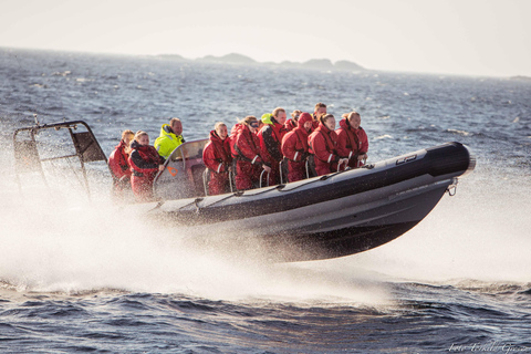 Haugesund: Passeio de barco com costela e visita à ilha