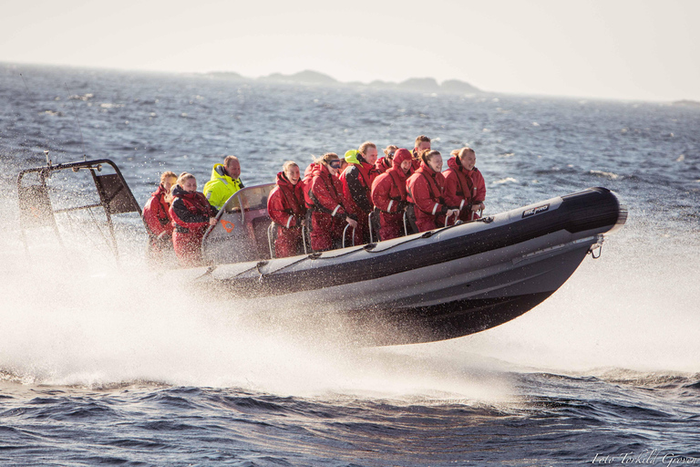 Haugesund: Tour en barco con visita a una isla