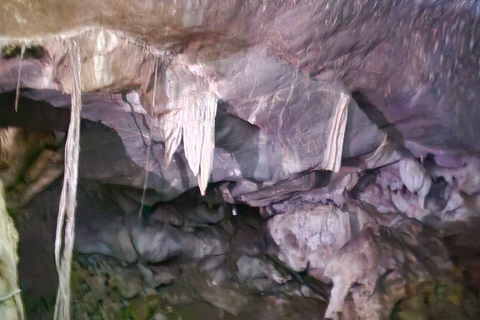 Langkawi: 3-Hour Shared Kilim Geoforest Mangrove Boat Tour