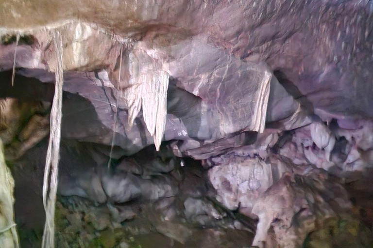 Langkawi: 3-Hour Shared Kilim Geoforest Mangrove Boat Tour