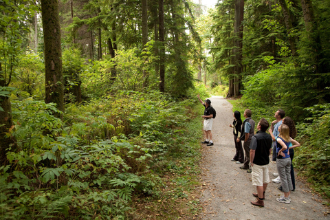 Vancouver: Recorrido por lo más destacado de la ciudad y El MiradorVancouver: recorrido por lo más destacado de la ciudad y mirador