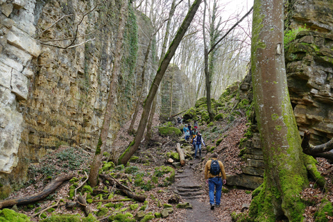 Mullerthal & Wolf's Gorge: Rock Walk with Clifftop Champagne