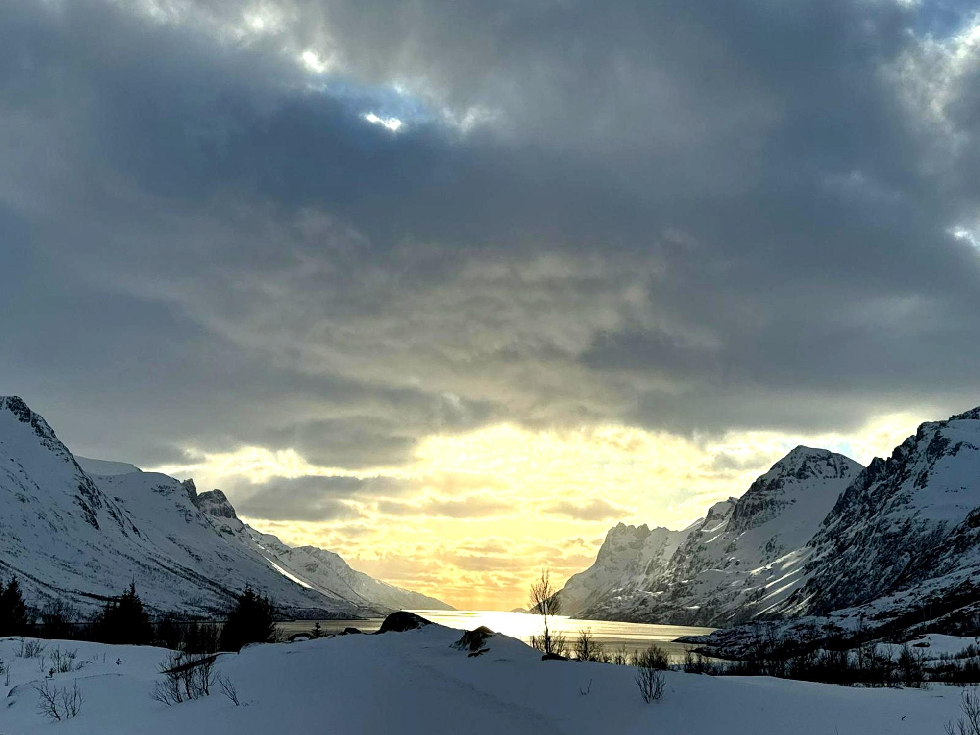 Tromso: Mitternachtssonnen-Fjordtour im kleinen Van (max. 8 Personen, 4h)