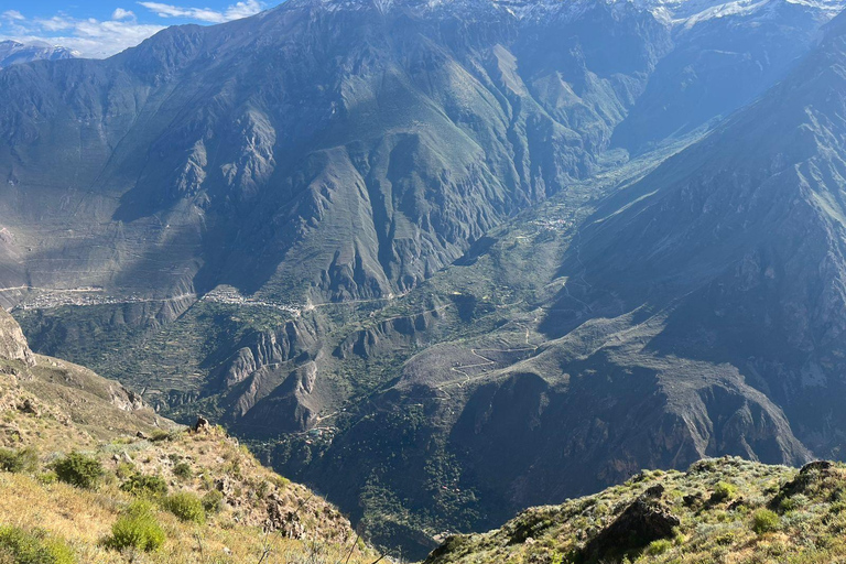 From Arequipa: Colca Canyon 3-Day Trekking Tour with Geyser Visit From Arequipa: 3-Day Trekking in the Colca Canyon, with a Visit to Geysers