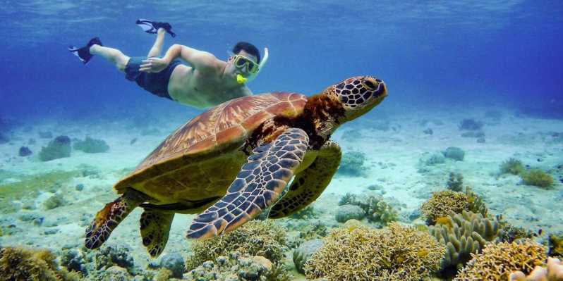 Cebu:Moalboal Snorkel Paradise &Kawasan Canyon Thrills Combo