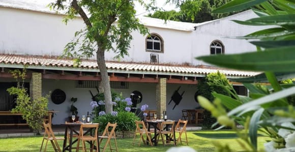 From Cádiz: Chiclana de la Frontera Winery Tour with Lunch