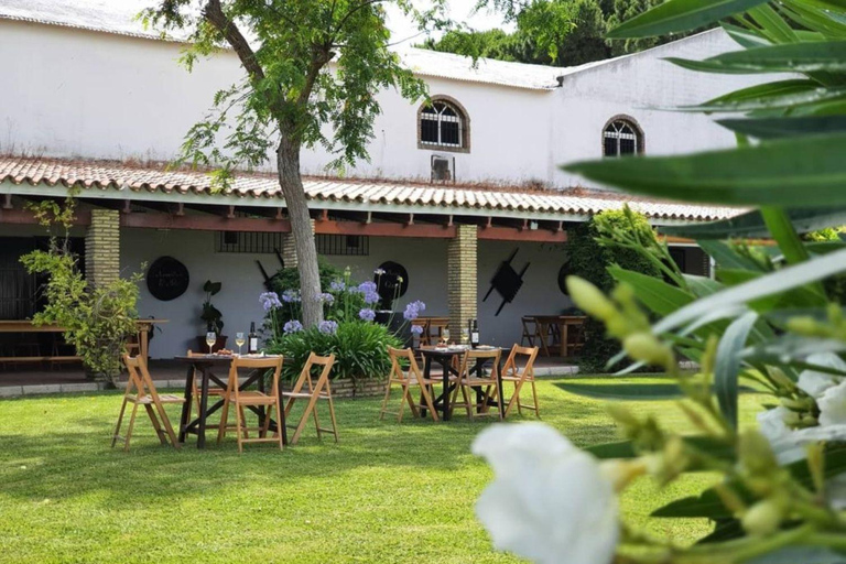 Au départ de Cadix : visite des vignobles de Chiclana de la Frontera avec déjeunerVisite guidée des caves de Chiclana de la Frontera avec déjeuner - 2 personnes