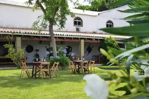From Cádiz: Chiclana de la Frontera Winery Tour with Lunch