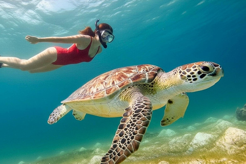 Bali: Snorkeling Blue Lagoon & Tanjung Jepun All-Inclusive Blue lagoon & Tanjung Jepun Snorkeling All-inclusive