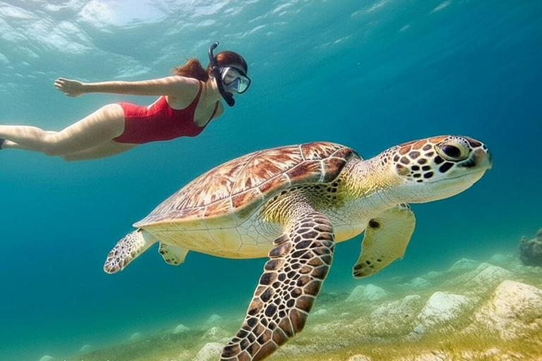 Bali: Snorkeling Blue Lagoon & Tanjung Jepun All-Inclusive Blue lagoon & Tanjung Jepun Snorkeling All-inclusive
