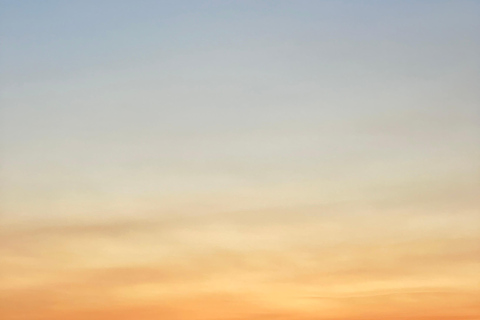 Visite d&#039;un manoir du XVe siècle - Bouteille de vin et plateau au coucher du soleil !Visite d&#039;un manoir du XVe siècle - Bouteille de vin et plateau au coucher du soleil.