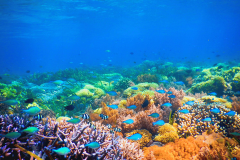 Gili Kondo, Bidara & Petagan Snorkeling Day Trip with Lunch Lombok: Gili Kondo, Bidara, Petagan Snorkel for small group